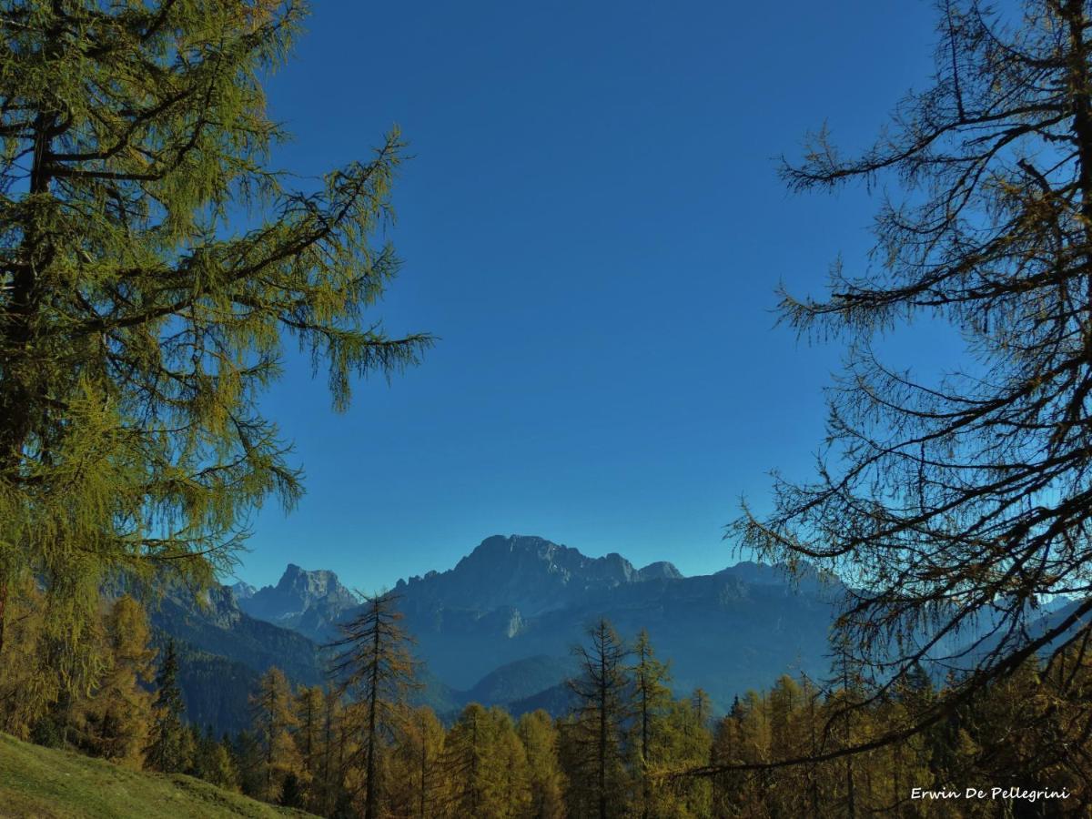 Chalet Laura อัลเลเก ภายนอก รูปภาพ